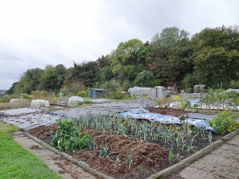 £150,000 fund launched to improve allotments across Rugby